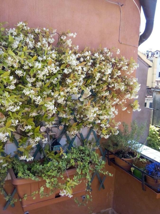 Ca' San Silvestro 2 Terrazze Nel Cuore Di Venezia Bagian luar foto